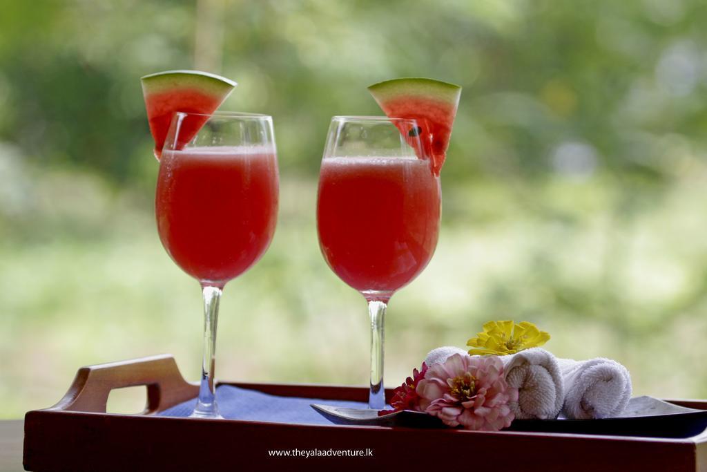 The Yala Adventure Hotel Tissamaharama Buitenkant foto
