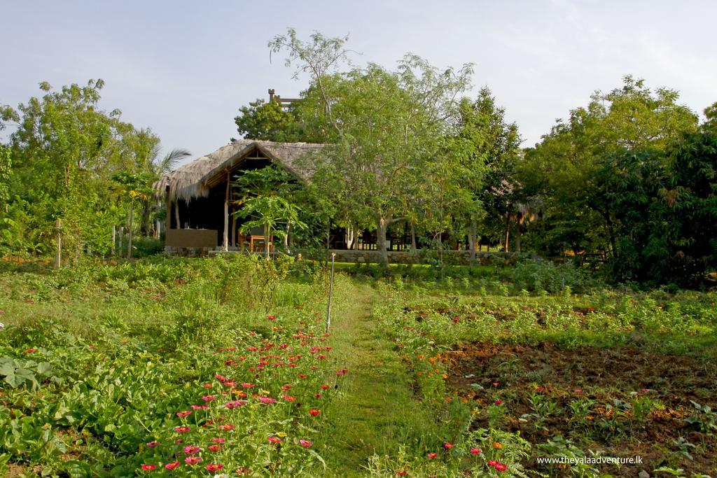 The Yala Adventure Hotel Tissamaharama Buitenkant foto
