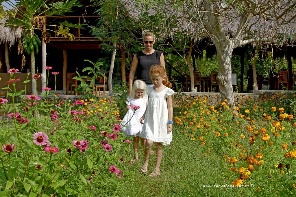 The Yala Adventure Hotel Tissamaharama Buitenkant foto
