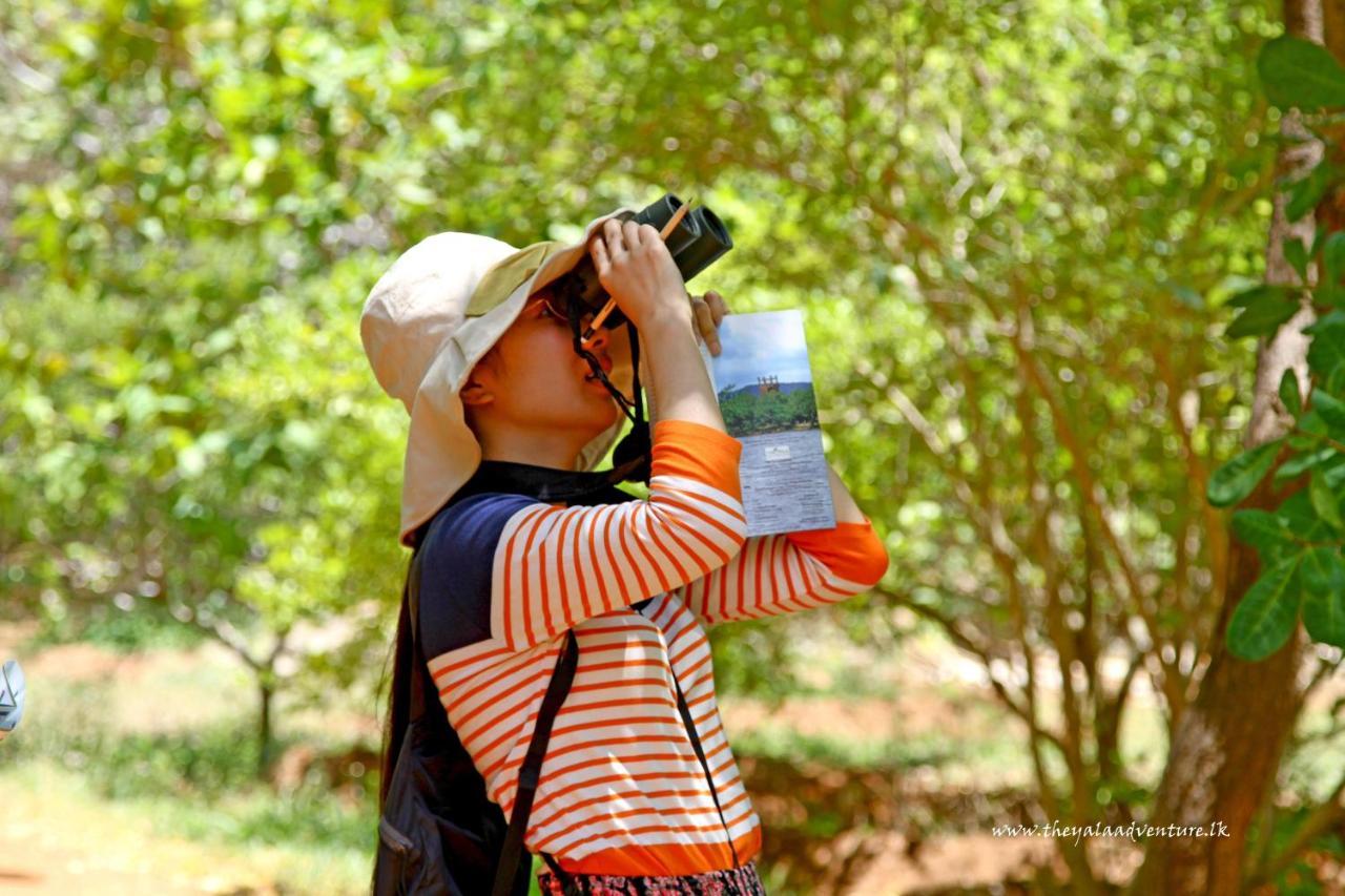 The Yala Adventure Hotel Tissamaharama Buitenkant foto