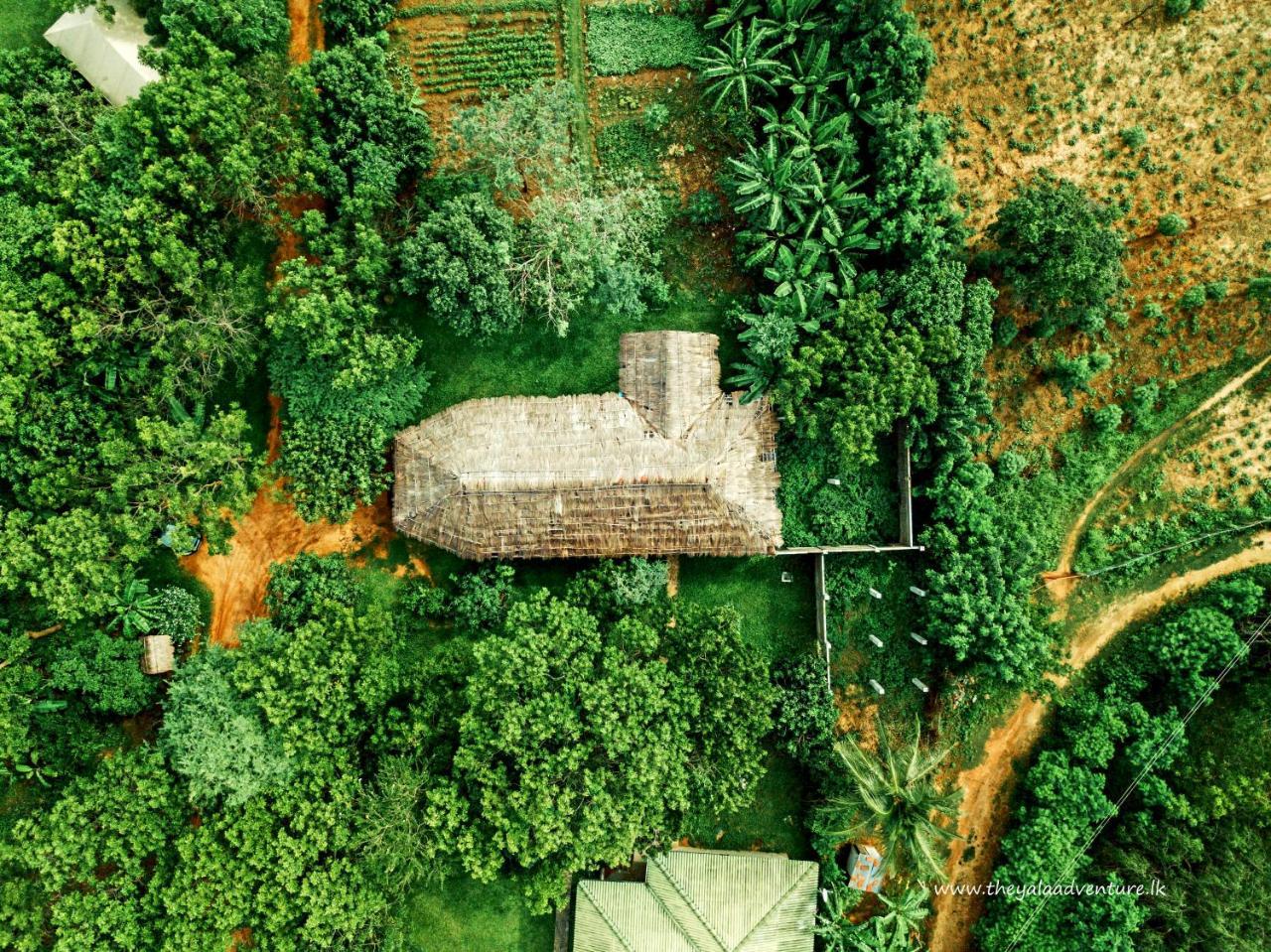 The Yala Adventure Hotel Tissamaharama Buitenkant foto