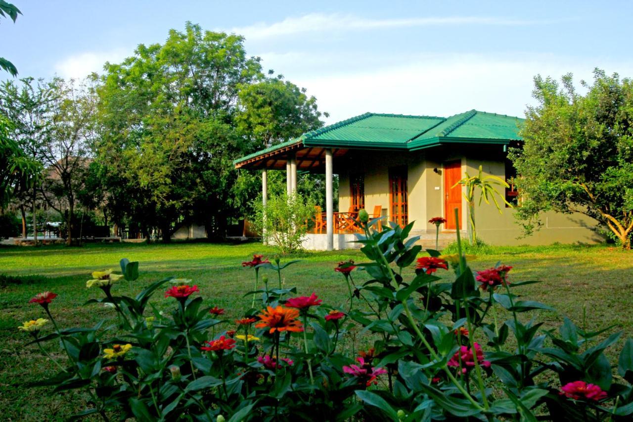 The Yala Adventure Hotel Tissamaharama Buitenkant foto
